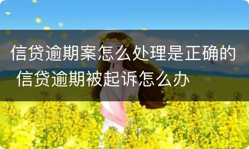 信贷逾期案怎么处理是正确的 信贷逾期被起诉怎么办