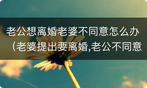 老公想离婚老婆不同意怎么办（老婆提出要离婚,老公不同意该怎么办呢）