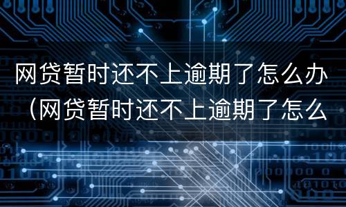 网贷暂时还不上逾期了怎么办（网贷暂时还不上逾期了怎么办呢）
