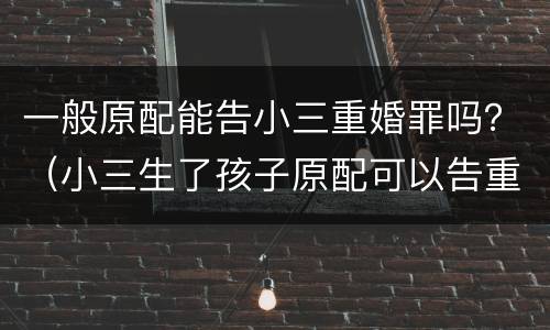 一般原配能告小三重婚罪吗？（小三生了孩子原配可以告重婚罪吗）