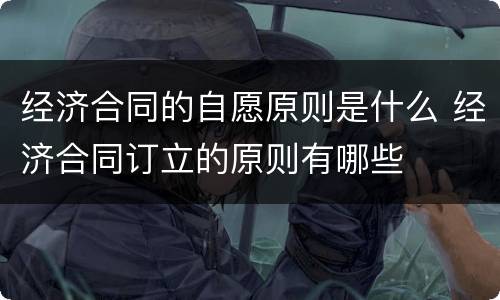 经济合同的自愿原则是什么 经济合同订立的原则有哪些