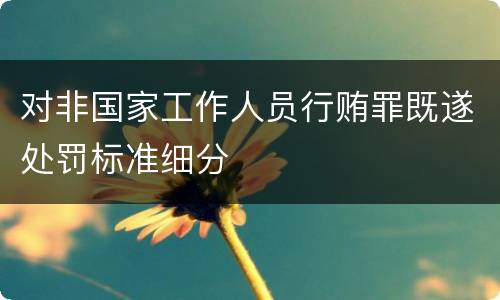 对非国家工作人员行贿罪既遂处罚标准细分