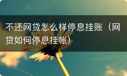 不还网贷怎么样停息挂账（网贷如何停息挂帐）