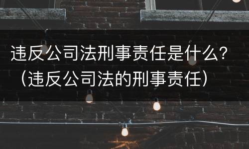 违反公司法刑事责任是什么？（违反公司法的刑事责任）