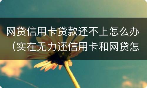 网贷信用卡贷款还不上怎么办（实在无力还信用卡和网贷怎么办）