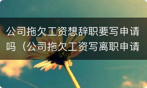 公司拖欠工资想辞职要写申请吗（公司拖欠工资写离职申请还是辞职报告?）