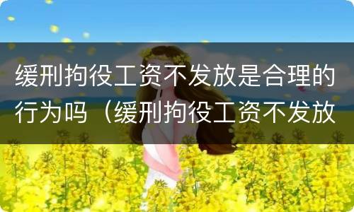 缓刑拘役工资不发放是合理的行为吗（缓刑拘役工资不发放是合理的行为吗为什么）