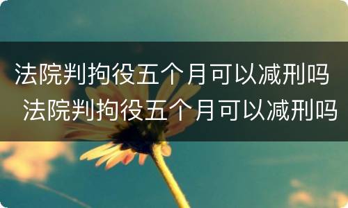 法院判拘役五个月可以减刑吗 法院判拘役五个月可以减刑吗