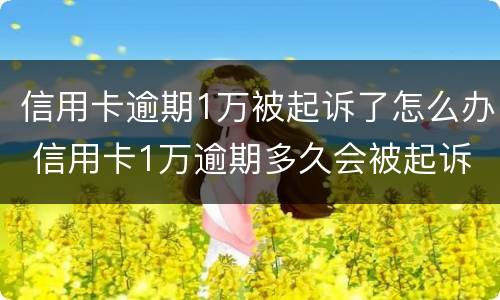 信用卡逾期1万被起诉了怎么办 信用卡1万逾期多久会被起诉