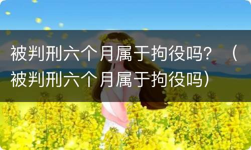 被判刑六个月属于拘役吗？（被判刑六个月属于拘役吗）
