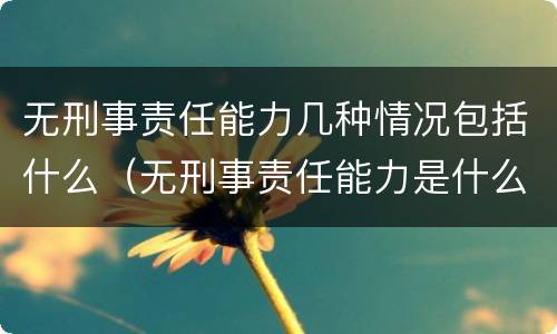 无刑事责任能力几种情况包括什么（无刑事责任能力是什么意思）