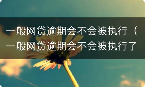 一般网贷逾期会不会被执行（一般网贷逾期会不会被执行了）