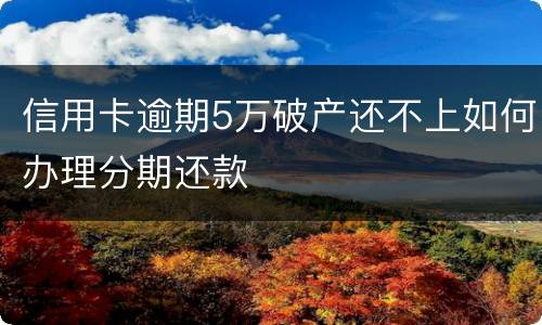 信用卡逾期5万破产还不上如何办理分期还款
