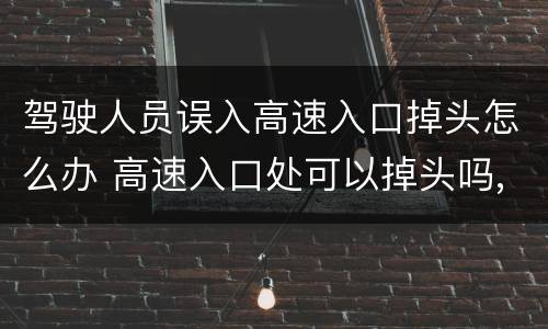 驾驶人员误入高速入口掉头怎么办 高速入口处可以掉头吗,误走高速了