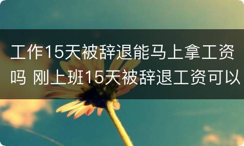 工作15天被辞退能马上拿工资吗 刚上班15天被辞退工资可以等到下个月发么