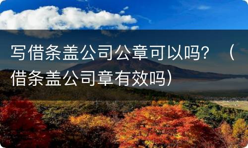 写借条盖公司公章可以吗？（借条盖公司章有效吗）