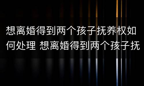 想离婚得到两个孩子抚养权如何处理 想离婚得到两个孩子抚养权如何处理好