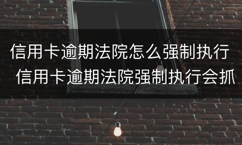 信用卡逾期法院怎么强制执行 信用卡逾期法院强制执行会抓人吗