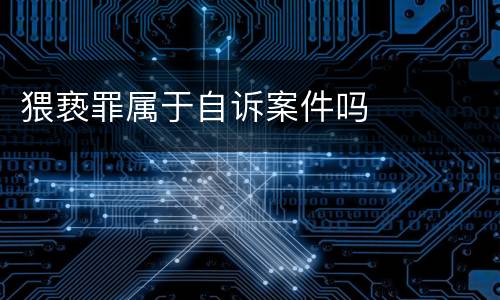 猥亵罪属于自诉案件吗