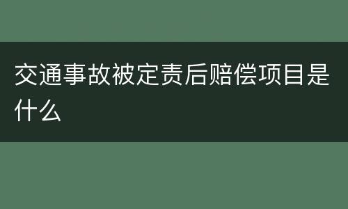 交通事故被定责后赔偿项目是什么