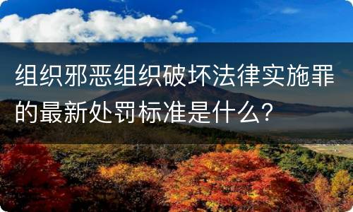 组织邪恶组织破坏法律实施罪的最新处罚标准是什么？