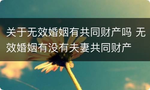 关于无效婚姻有共同财产吗 无效婚姻有没有夫妻共同财产