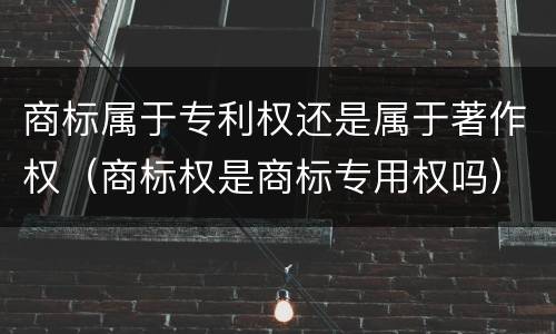 商标属于专利权还是属于著作权(商标权是商标专用权吗)