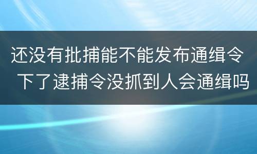 还没有批捕能不能发布通缉令 下了逮捕令没抓到人会通缉吗