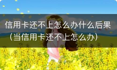 信用卡还不上怎么办什么后果（当信用卡还不上怎么办）