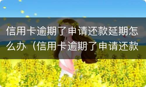 信用卡逾期了申请还款延期怎么办（信用卡逾期了申请还款延期怎么办理）