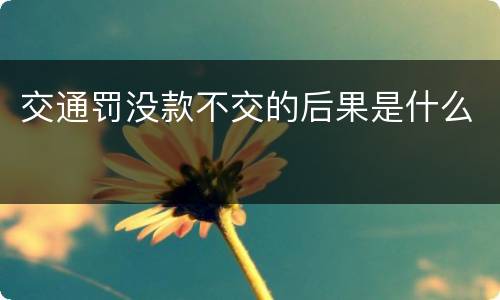 交通罚没款不交的后果是什么