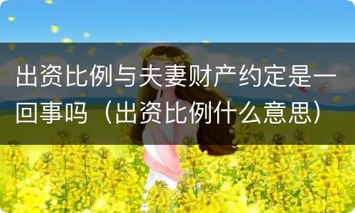 出资比例与夫妻财产约定是一回事吗（出资比例什么意思）