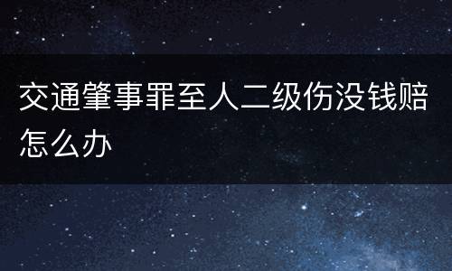 交通肇事罪至人二级伤没钱赔怎么办
