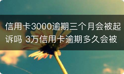 信用卡3000逾期三个月会被起诉吗 3万信用卡逾期多久会被起诉