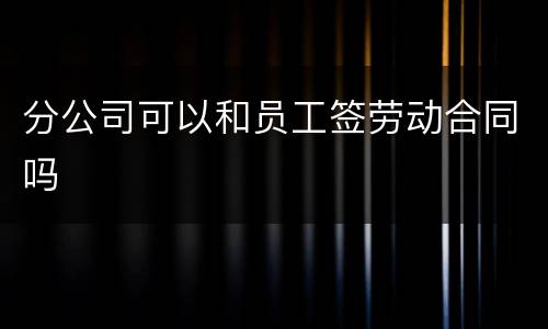 分公司可以和员工签劳动合同吗