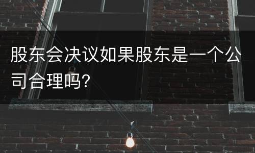 股东会决议如果股东是一个公司合理吗？