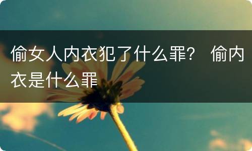 偷女人内衣犯了什么罪？ 偷内衣是什么罪