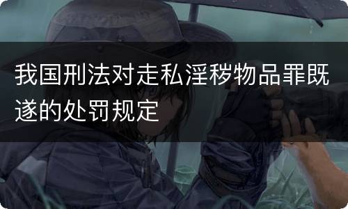我国刑法对走私淫秽物品罪既遂的处罚规定