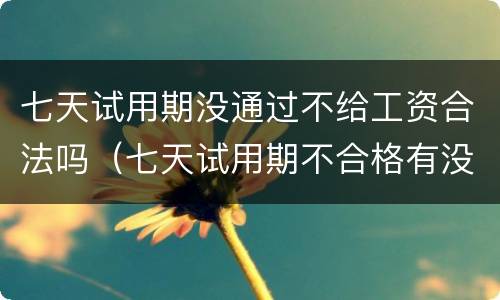 七天试用期没通过不给工资合法吗（七天试用期不合格有没有工资）