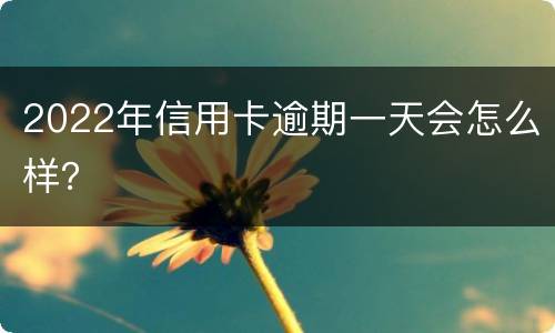 2022年信用卡逾期一天会怎么样？