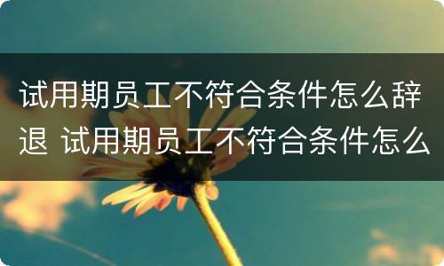 试用期员工不符合条件怎么辞退 试用期员工不符合条件怎么辞退呢