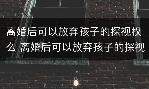 离婚后可以放弃孩子的探视权么 离婚后可以放弃孩子的探视权么吗