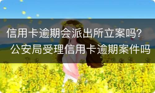 信用卡逾期会派出所立案吗？ 公安局受理信用卡逾期案件吗