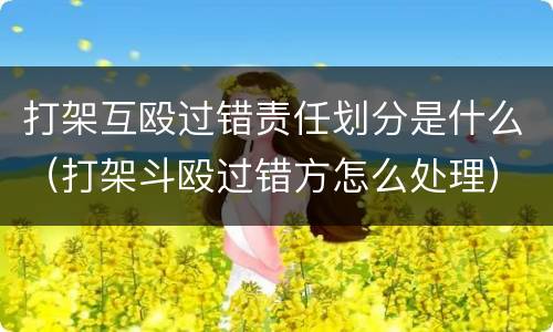 打架互殴过错责任划分是什么（打架斗殴过错方怎么处理）