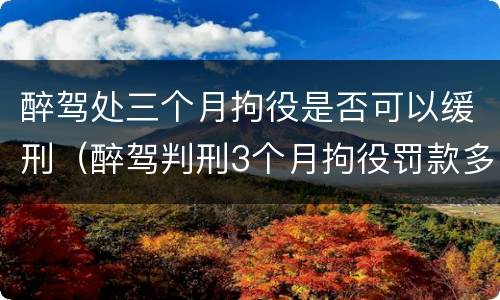 醉驾处三个月拘役是否可以缓刑（醉驾判刑3个月拘役罚款多少）