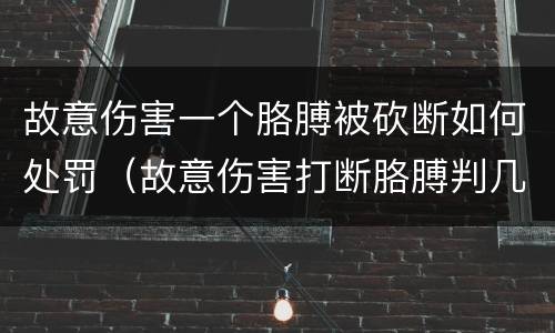 故意伤害一个胳膊被砍断如何处罚（故意伤害打断胳膊判几年）