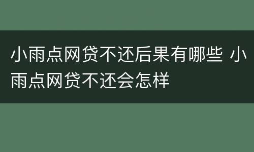 小雨点网贷不还后果有哪些 小雨点网贷不还会怎样