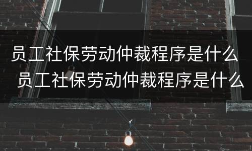 员工社保劳动仲裁程序是什么 员工社保劳动仲裁程序是什么样的