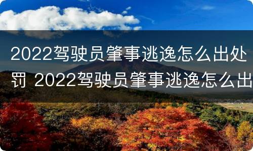 2022驾驶员肇事逃逸怎么出处罚 2022驾驶员肇事逃逸怎么出处罚决定书