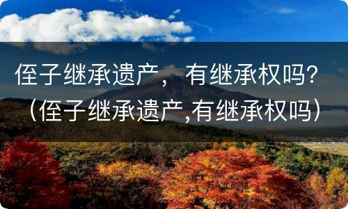 侄子继承遗产，有继承权吗？（侄子继承遗产,有继承权吗）